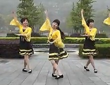 动动广场舞最美中国人含动动背面示范