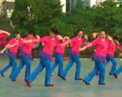 卢姨广场舞中国好姑娘 2014广场舞 含动作演示