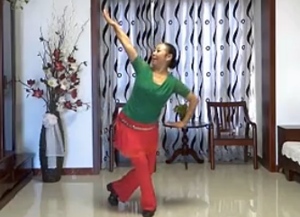 益珍广场舞我的家乡内蒙古 广场舞教学视频舞