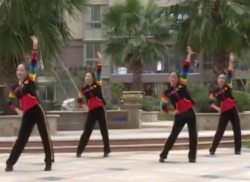 杨丽萍广场舞真的不应该正面背面演示教学 动感健身操