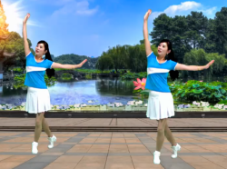 游城广场舞嗨起来 含杨丽萍教学视频 活力健身